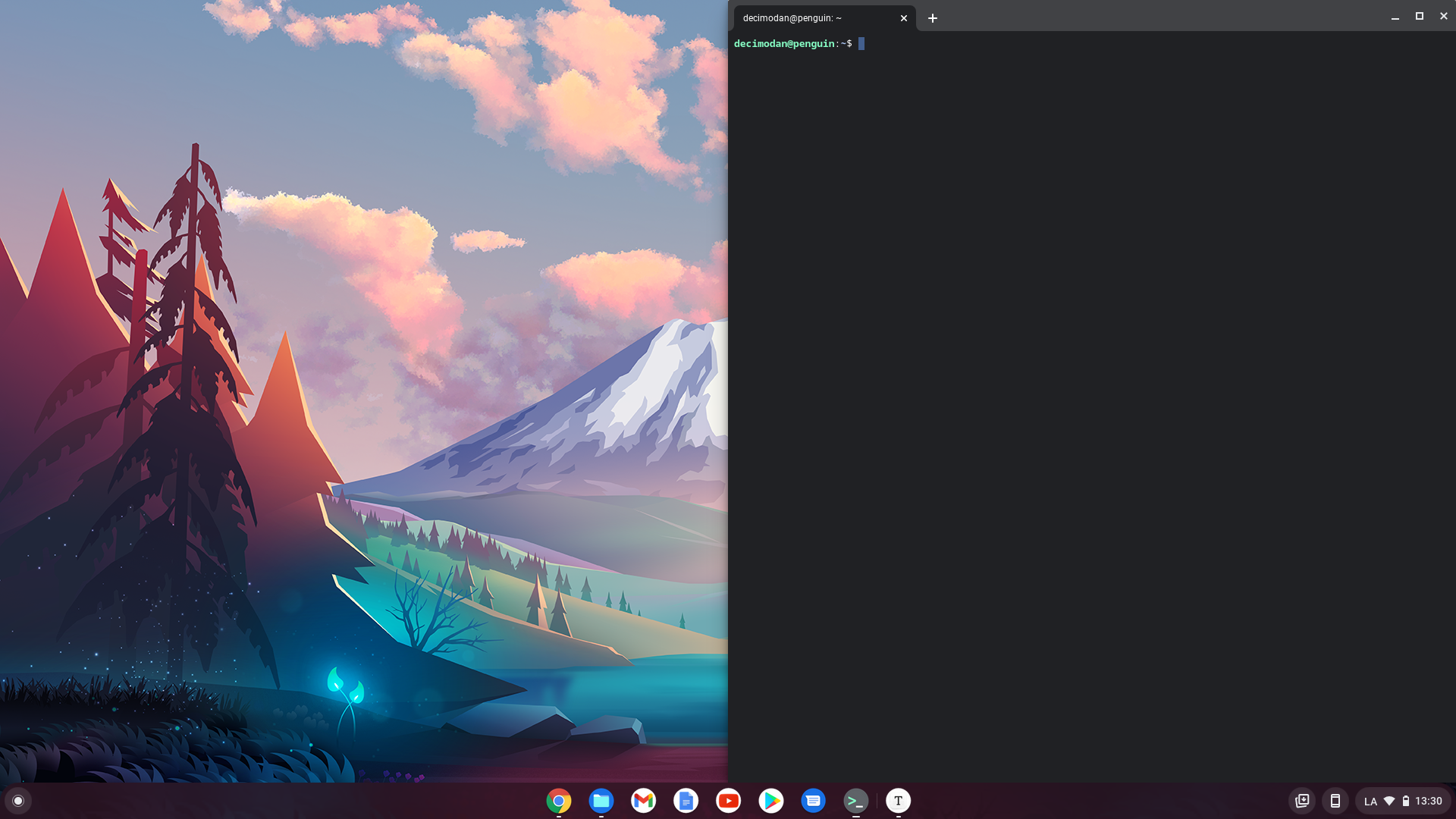 Version de ChromeOS